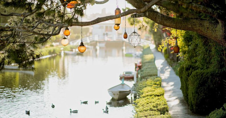 Water-Efficient Garden - Brown Pendant Lamp Hanging on Tree Near River